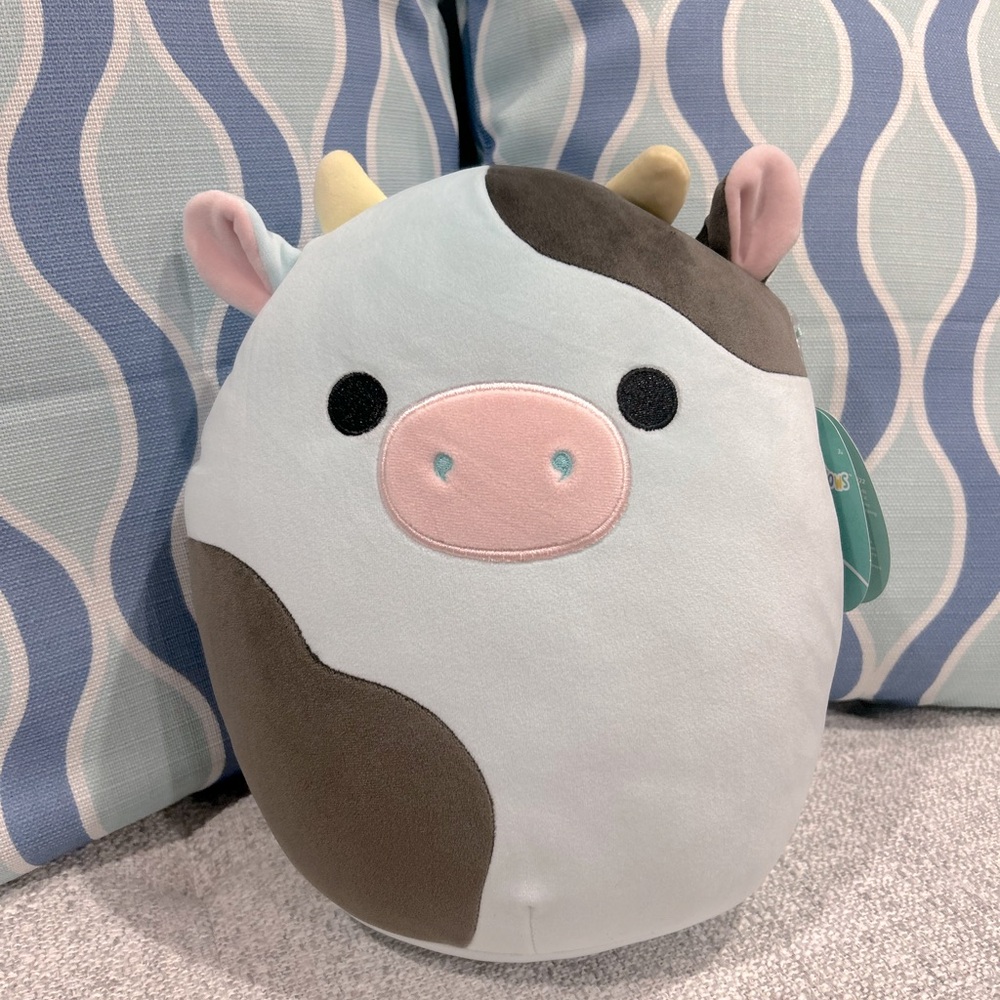 Squishmallows Cillian is his name. Pink and blue, smoke free pet free home